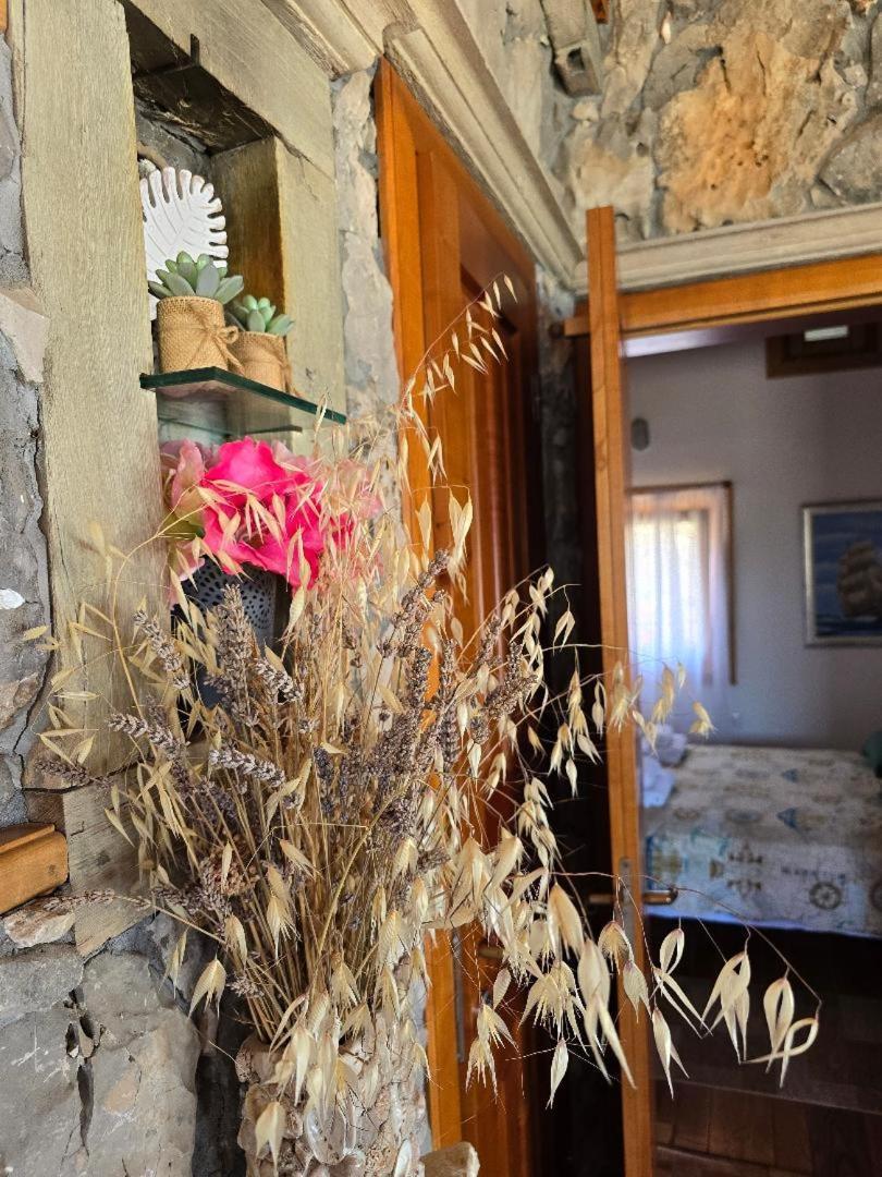 Villa, Stone House With Swimming Pool & Sauna, Beach, Sevid Exterior photo